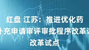 红盘 江苏：推进优化药品补充申请审评审批程序改革试点