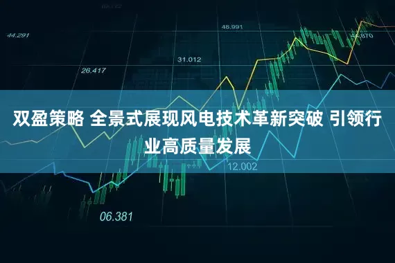 双盈策略 全景式展现风电技术革新突破 引领行业高质量发展
